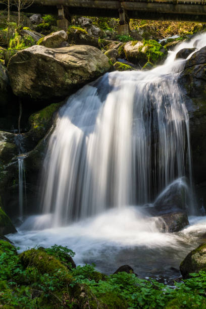 독일, 독일의 검은 숲에 트리베르크에서 높은 폭포에 빛나는 태양 - black forest waterfall triberg landscape 뉴스 사진 이미지