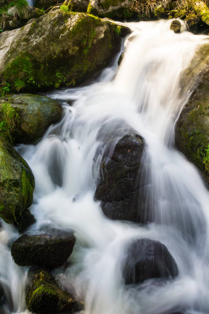 독일, 이끼 덮은 검은 숲에 트리베르크 폭포 공원에서 녹색 빛나는 돌 - black forest waterfall triberg landscape 뉴스 사진 이미지