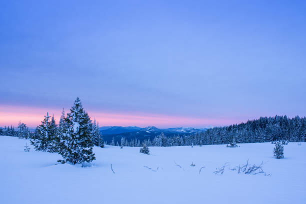istock Winter in Crater Lake NP 958532096