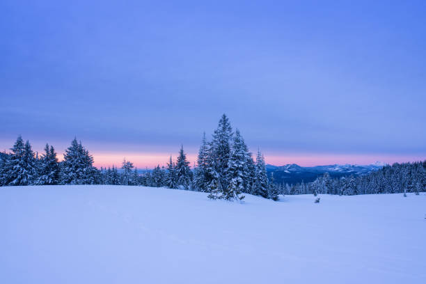 istock Winter in Crater Lake NP 958532196