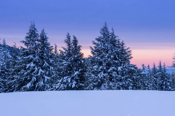 istock Winter in Crater Lake NP 958532302