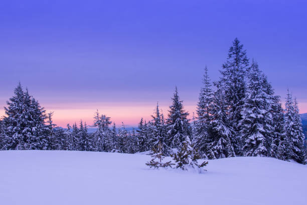 istock Winter in Crater Lake 958532342