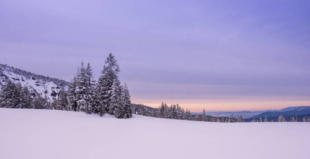 istock Winter in Crater Lake 958532388