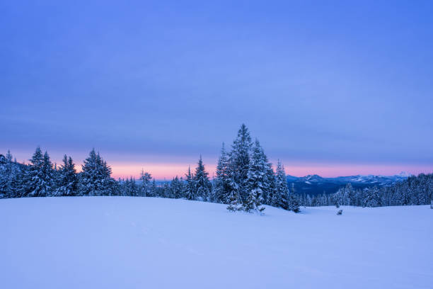 istock White Christmas. Trees covered with snow 958532512