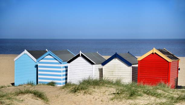 istock Beach huts of Southwold 958539146
