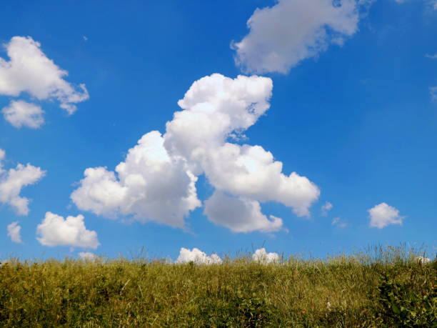 istock Beautiful clouds above the meadow 958539534