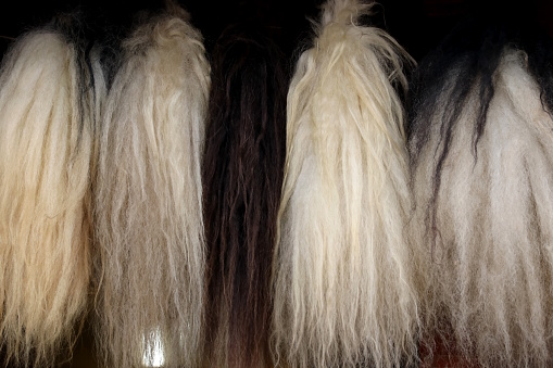 Yak Tails On Sale Stock Photo - Download Image Now - Animal Hair, Annapurna Conservation Area, Asia - iStock Yak Tails On Sale Stock Photo - Download Image Now - Animal Hair, Annapurna Conservation Area, Asia - iStock