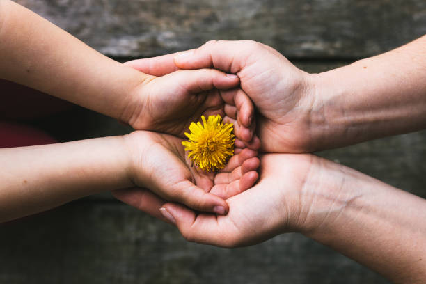 istock Parent and child hands handing flowers 958543240
