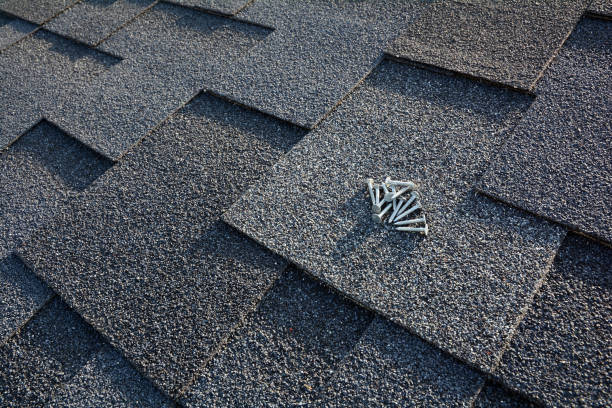 istock Close up view on asphalt roofing shingles and nails background. 958546546