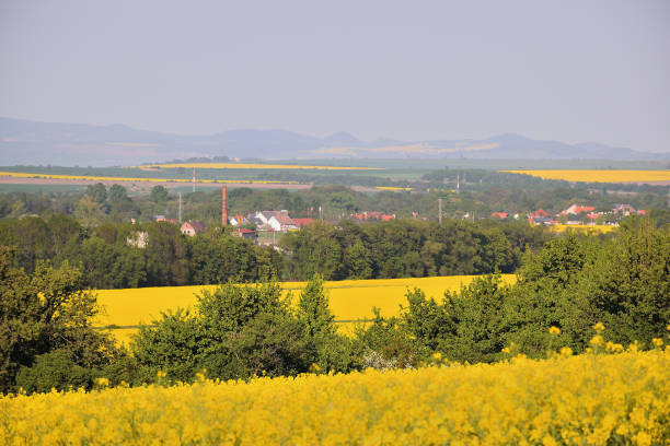 istock Czech landscape with rape field, village and mountains in spring 958546624