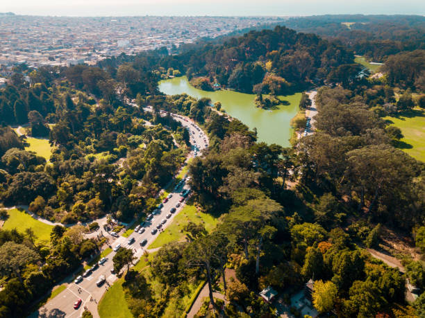 вид с воздуха на парк золотые ворота в сан-франциско - golden gate park стоковые фото и изображения