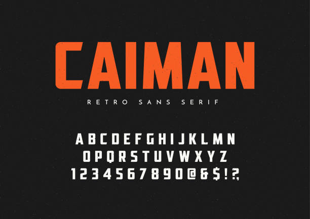 Caiman trendy sans serif retro typeface, font, letters and numbers. Vector illustration.
