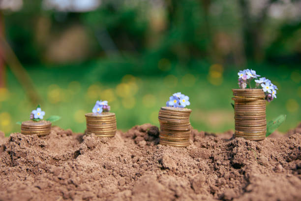 istock stacks of money saved with blue flowers 958555128