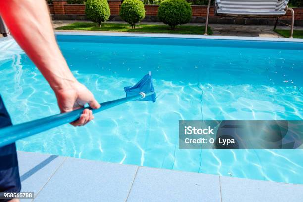 Male Hand Hold Pool Net Cleaner Stock Photo - Download Image Now - Swimming Pool, Cleaning, Fishing Net