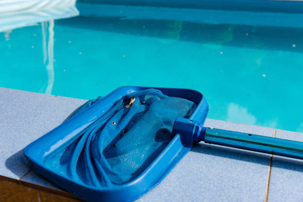 istock Close up of net cleaner on pool tile 958565984
