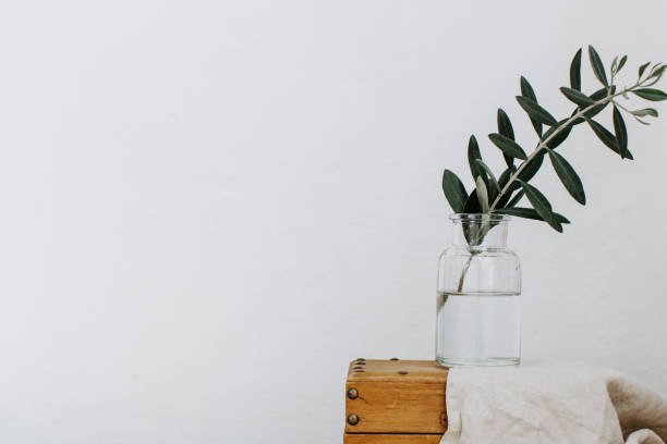 istock Olive branch in vase. Minimal background 958566136