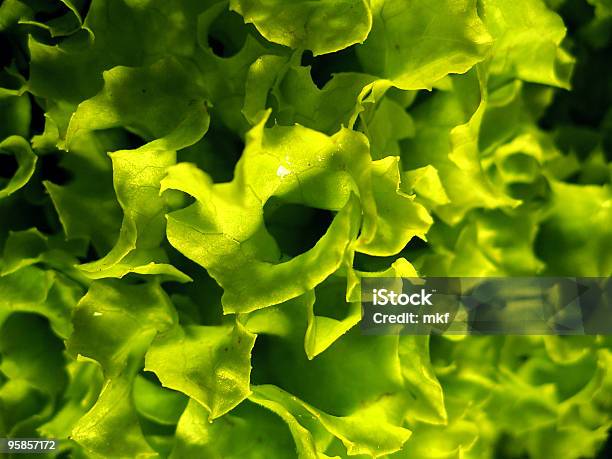 Nahaufnahme Von Grünem Salat Stockfoto und mehr Bilder von Bildhintergrund - Bildhintergrund, Café, Cool und Lässig