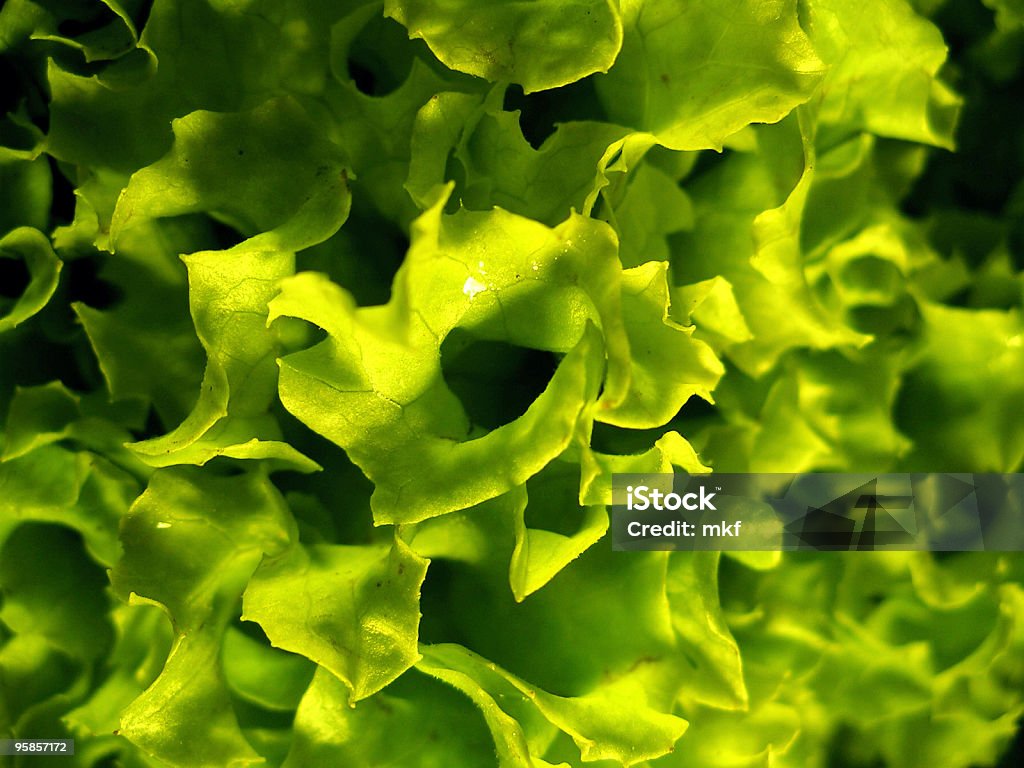 Gros plan de salade verte - Photo de Aliment libre de droits