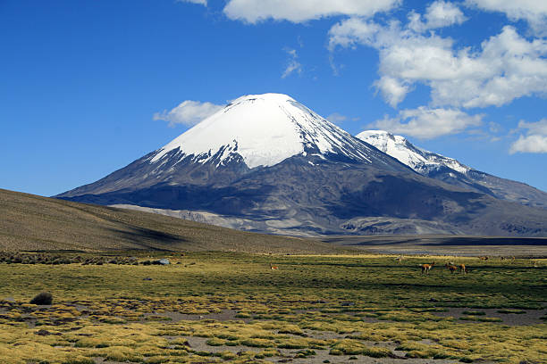 istock Volcan Parinacota in Chile - landscape 95857463