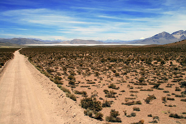 Altiplano desert and salt lake in Chile stock photo