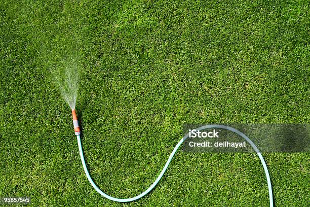 Garden Hose Stock Photo - Download Image Now - Yard - Grounds, Watering, Garden Hose
