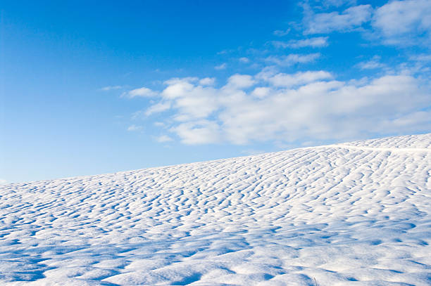 snow field stock photo