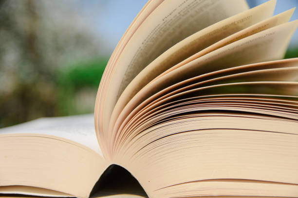 istock Book on a wooden table. Cards moved by the wind. 958580386
