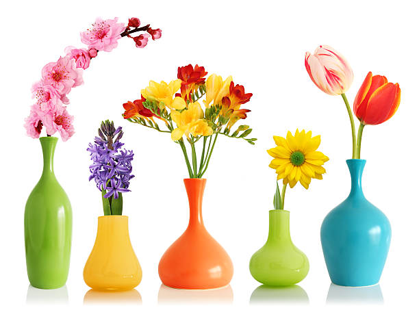flores de primavera en vasijas - jarrón fotografías e imágenes de stock
