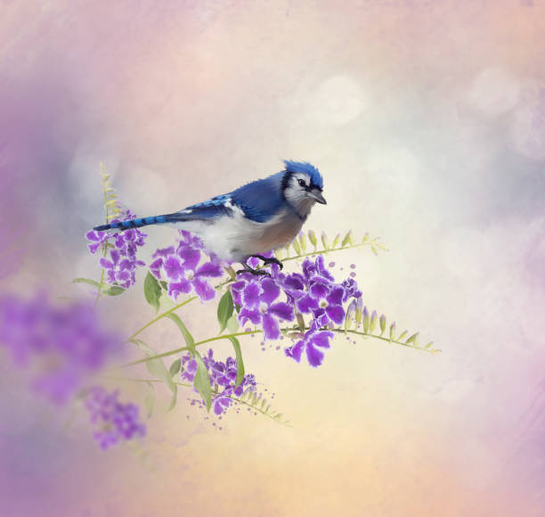 istock Blue Jay Perching on Blue Flowers watercolor 958588314