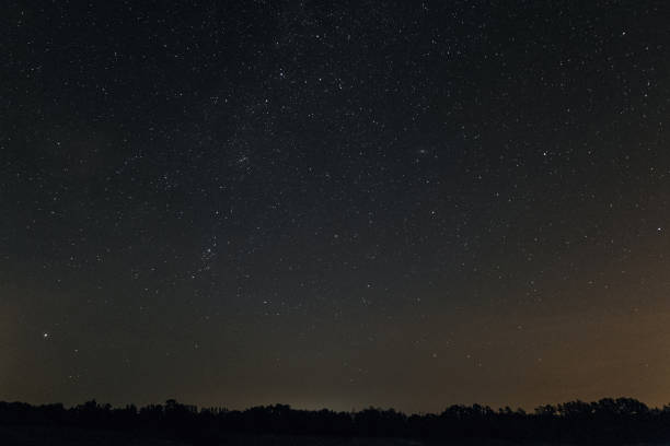 istock Starry night over the horizon with trees. Night landscape. 958588448