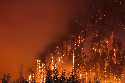 The Eagle Creek forest fire in the Columbia River Gorge during the late summer of 2017.