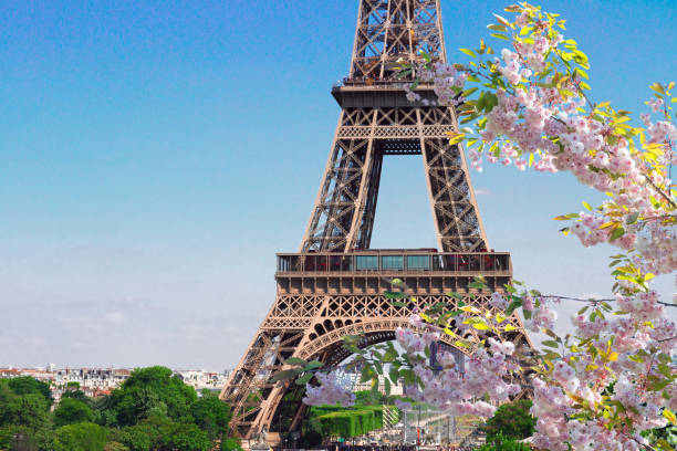 istock Eiffel Tower and Paris cityscape 958597132