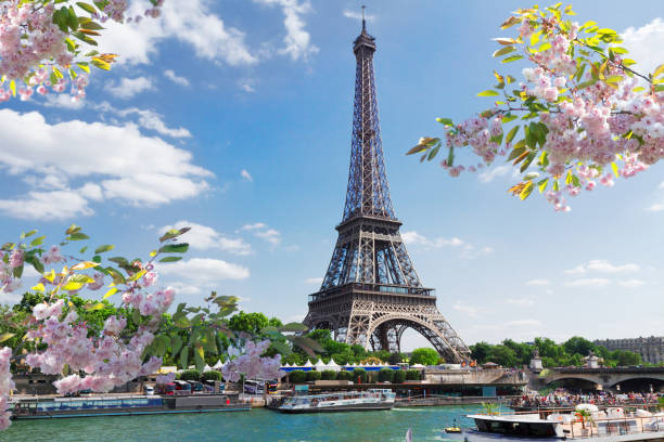 eiffel tour over Seine river eiffel tour over Seine river waters at spring day, Paris, France seine river photos stock pictures, royalty-free photos & images