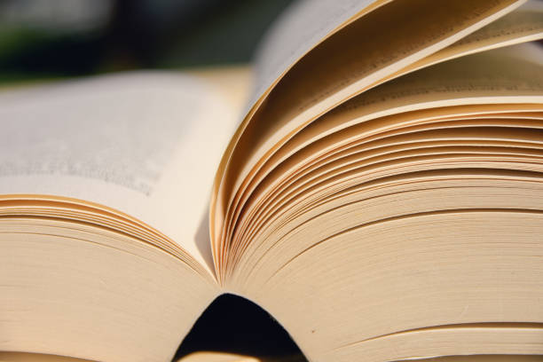 istock Book on a wooden table. Cards moved by the wind. 958600564