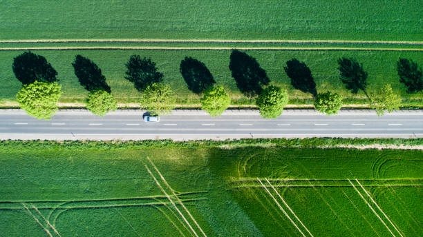istock Alley, agricultural area - aerial view 958600656