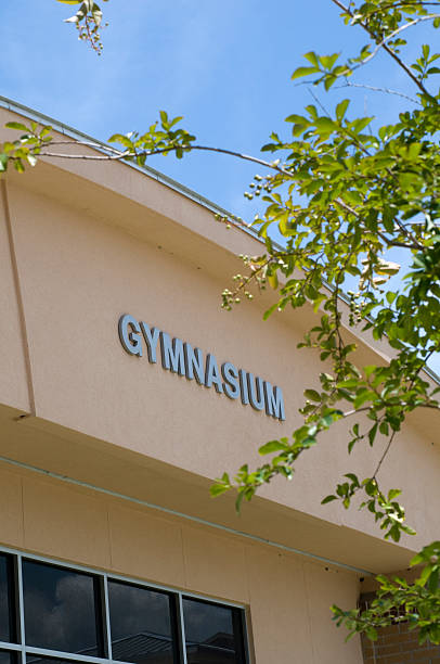 istock Gymnasium at High School 95860145