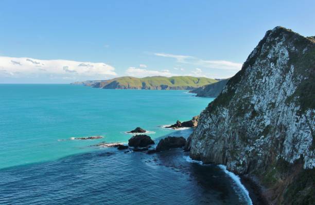 istock Otago Coastline, New Zealand 958603428
