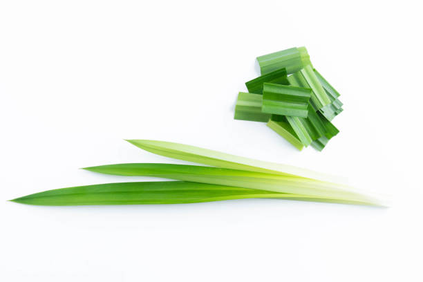 istock fresh green pandan screwpine leaves isolated on white background 958603498