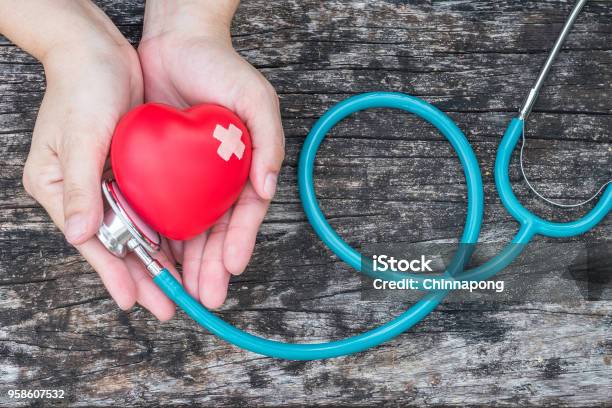 Healthcare Medical Insurance Business And World Heart Health Day Concept With Red Heart On Womans Hands Support With Doctors Stethoscope Stock Photo - Download Image Now