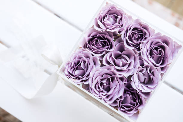 istock Pastel purple roses in clear acrylic box 958608276