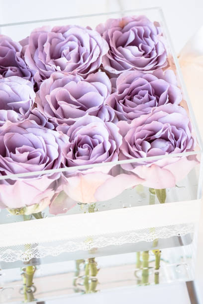 istock Pastel purple roses in clear acrylic box 958608282