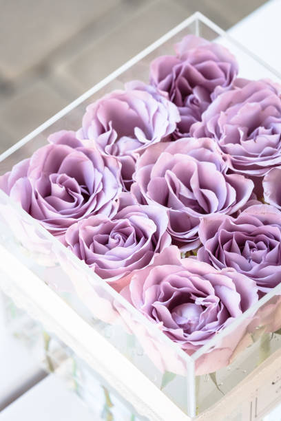 istock Pastel purple roses in clear acrylic box 958608294