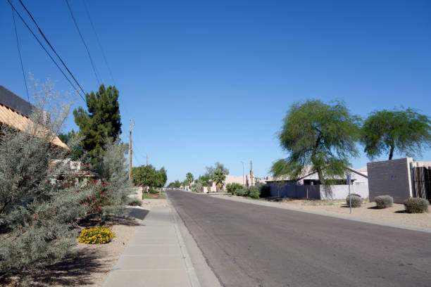 istock Residential Street in Phoenix, AZ 958615010