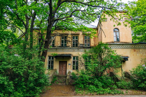 istock Old ruined abandoned overgrown school 958615108