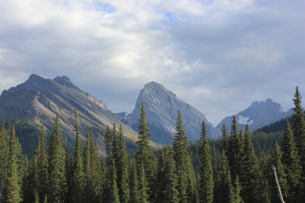 istock Mountain Canada Beautiful Scenic Landscape Background 958622348