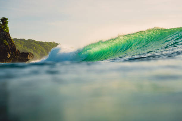 istock Breaking green wave in ocean. Perfect wave and evening light 958623302