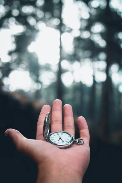 istock Fog in the forest morning Pine trees time Old silver pocket watch clock in hand 958627290