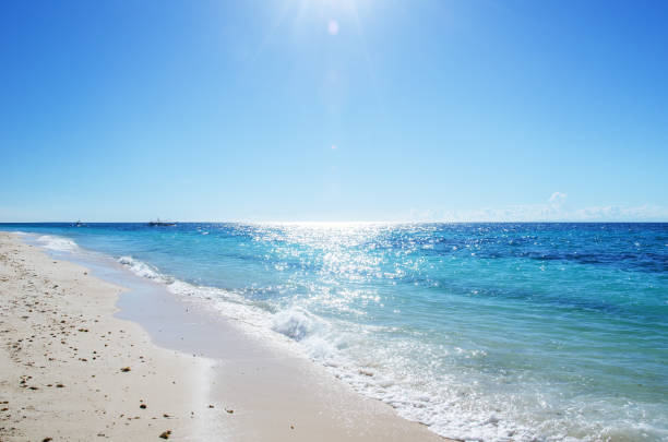 istock Tropical Beach In The Sun 958630096