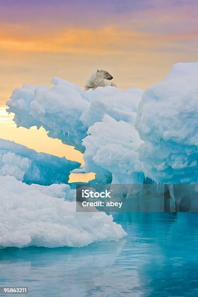 Polar Bear On Frozen Outcrop Stock Photo - Download Image Now - Polar Bear, Arctic, Landscape - Scenery
