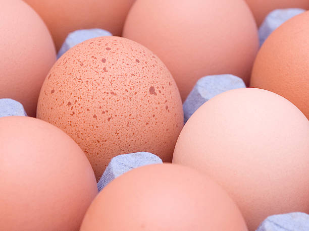 Spotted egg stock photo